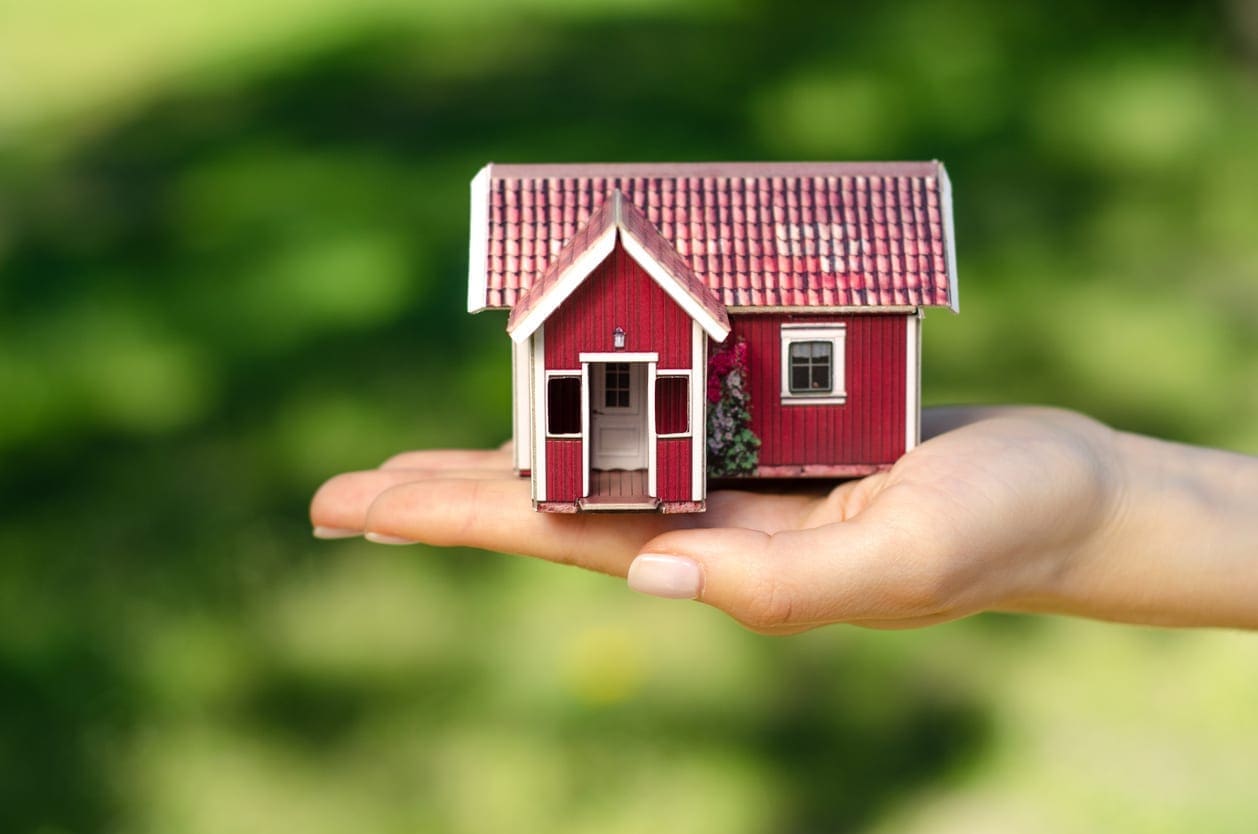 Small house in hand sun green garden nature